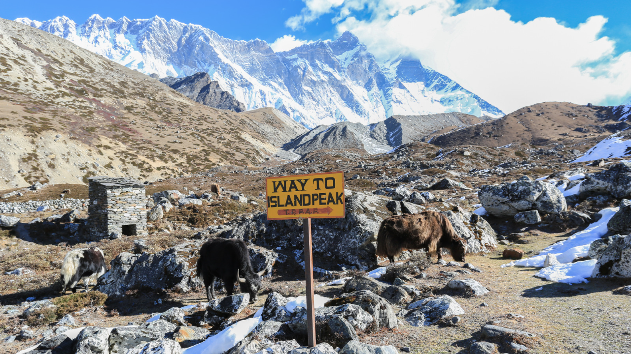 Island Peak and Lobuche Peak with Everest Base Camp Trek