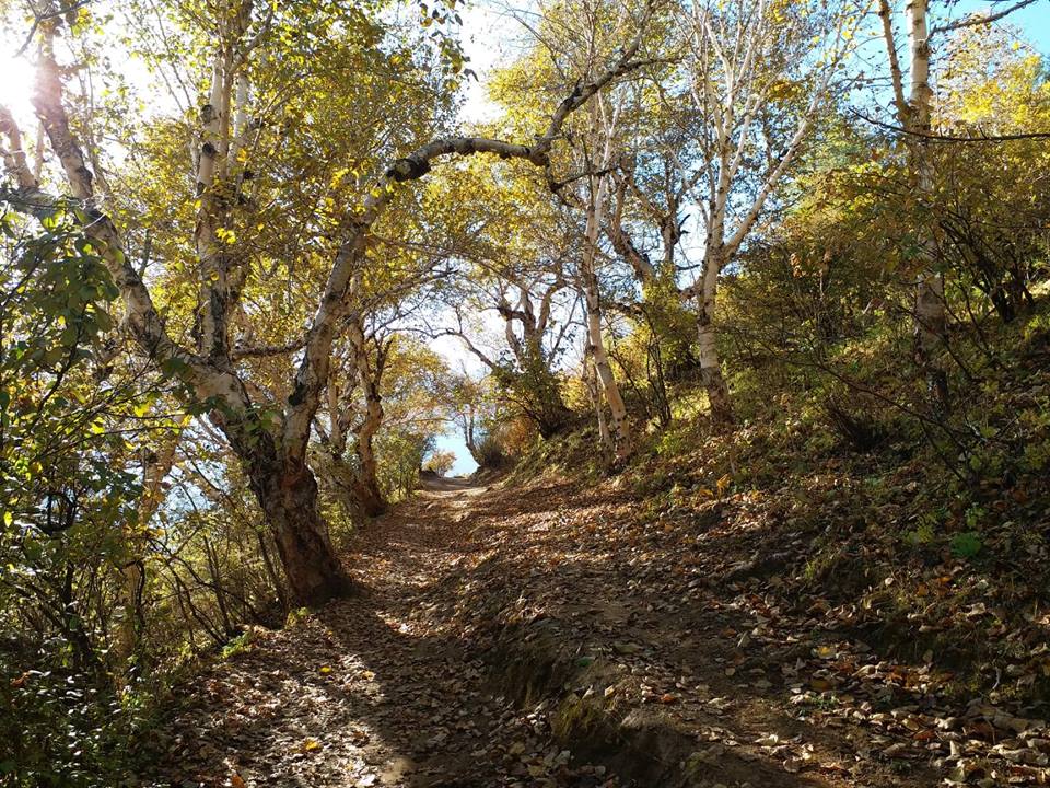 Upper Dolpa Trek